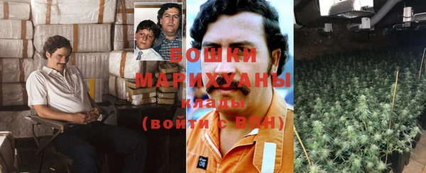ГАЛЛЮЦИНОГЕННЫЕ ГРИБЫ Аркадак
