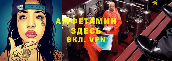ГАЛЛЮЦИНОГЕННЫЕ ГРИБЫ Аркадак